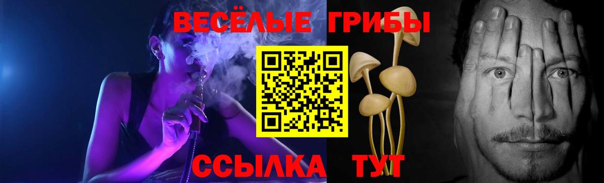 Менделеевск  наркота  Вход с VPN  Псилоцибиновые грибы GOLDEN TEACHER 